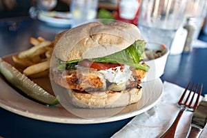 Fried Fish Sandwich with Fries