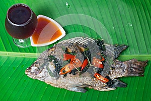 Fried fish Tilapia
