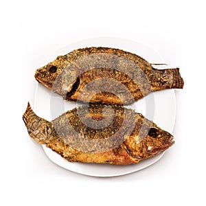 Fried Fish on White Porcelain Plate, Isolated on White Background