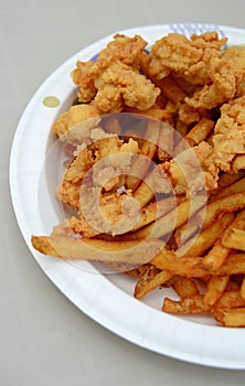 Fried gator bites and french fries