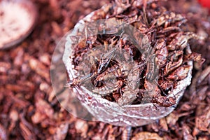 Fried Grasshoppers Chapulines in Oaxaca, Mexico