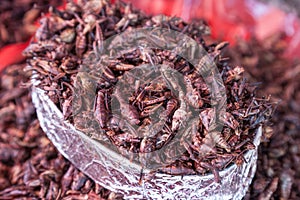 Fried Grasshoppers Chapulines in Oaxaca, Mexico