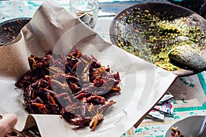 Fried grasshoppers served with dip at local warung photo