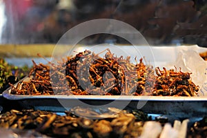Fried grasshoppers at a Thai market