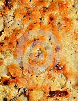 Fried greasy potato pancake texture. Close-up detail