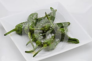 Fried green peppers. Pimientos del Padron. Spanish Cuisine. photo