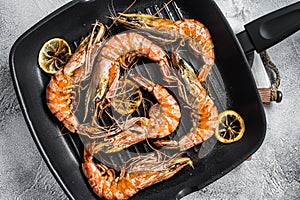 Fried on grill skillet Giant Black tiger prawns shrimps with lemon and herbs. Gray background. Top view