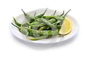 Fried guindilla peppers, basque cuisine photo