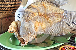 FRIED GURAME ON THE PLATE