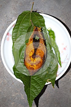 fried Hilsa fish on kitchen