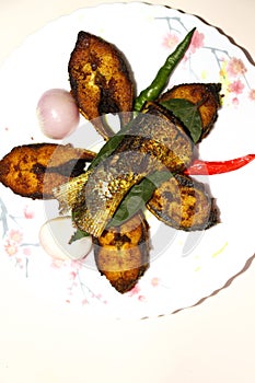 fried Hilsa fish on kitchen