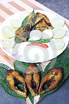 fried Hilsa fish on kitchen