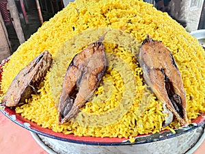 fried hilsa fish and rice on kitchen