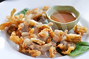 Fried Indian Oyster, fried mushroom or deep fried Mushroom