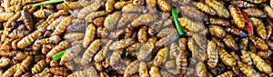 Fried insect lavae on sale in market in Cambodia photo