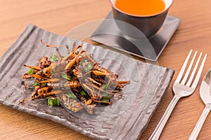 Fried insects