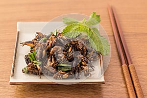 Fried insects