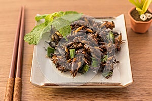 Fried insects