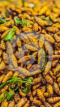 Fried insects, Bugs fried on Street food in thailand VERTICAL FORMAT for Instagram mobile story or stories size. Mobile