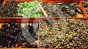 Fried insects