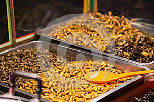 Fried insects like bugs, grasshoppers, larvae, caterpillars and scorpions are sold as food