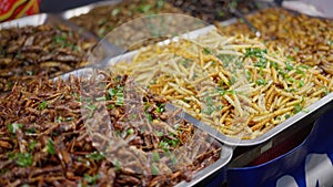 Fried insects and scorpions street food vendor in Asian Thailand exotic food