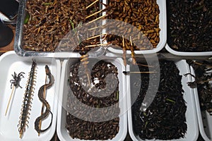 Fried insects, snake and millipede for sale