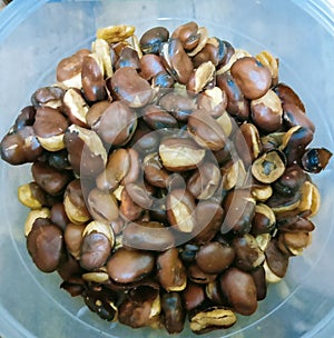 fried koro bean snack