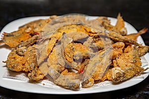 Fried Lambari do Rabo Vermelho (Astyanax bimaculatus)