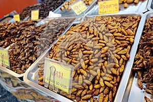 Fried larva on street market