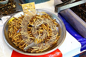 Fried larvae in Thailand
