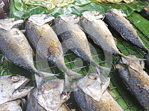 Fried Mackerel