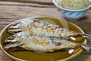 Fried mackerel fish