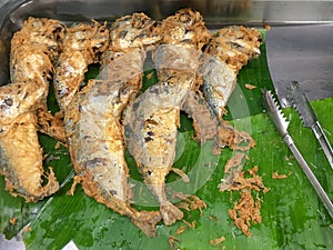 Fried Mackerel Fish for sale