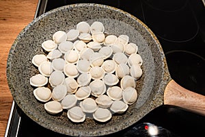 Fried meat dumplings fried on the pan. traditional russian cusine