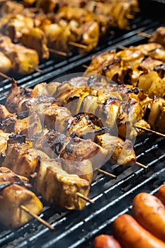 Fried meat skewers with a crust on a wooden skewer and nipples close-up