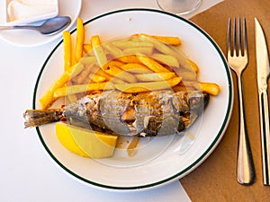 Fried Mediterranean fish Sarpa photo