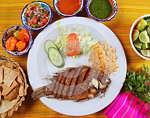 Fried mojarra tilapia fish Mexico style