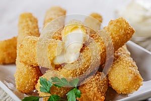 Fried mozzarella cheese sticks