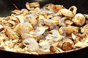 Fried mushrooms in oil