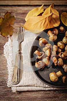 fried mushrooms with salt and pepper on a wooden background