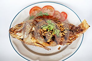 Fried Nile tilapia fish