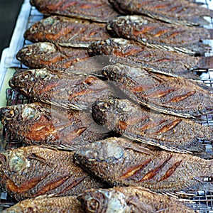 Fried nile tilapia or oreochromis nilotica fish