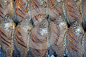 Fried nile tilapia or oreochromis nilotica fish
