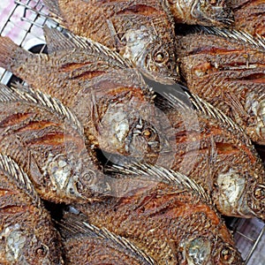 Fried nile tilapia or oreochromis nilotica fish