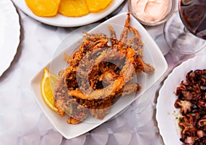 Fried octopus tentacles