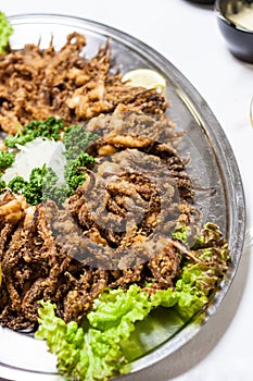 Fried octopuses and green lettuce