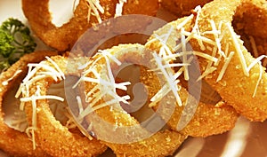 FRIED ONION RINGS