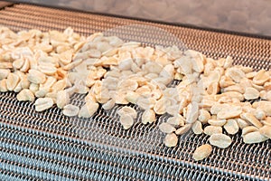 Fried peanuts, Roasting and blanching peanuts. Process of peeling peanuts in machine