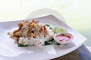 Fried Pork with Garlic Pepper on Rice wtih white dish